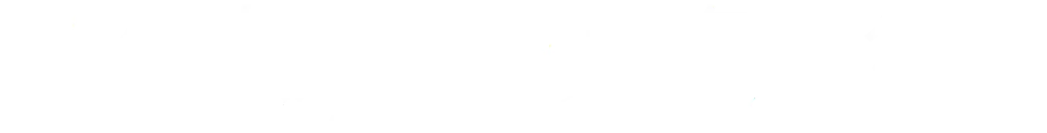 矽塔資訊服務有限公司